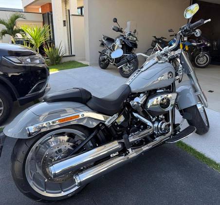 HARLEY-DAVIDSON SOFTAIL FAT BOY 117 